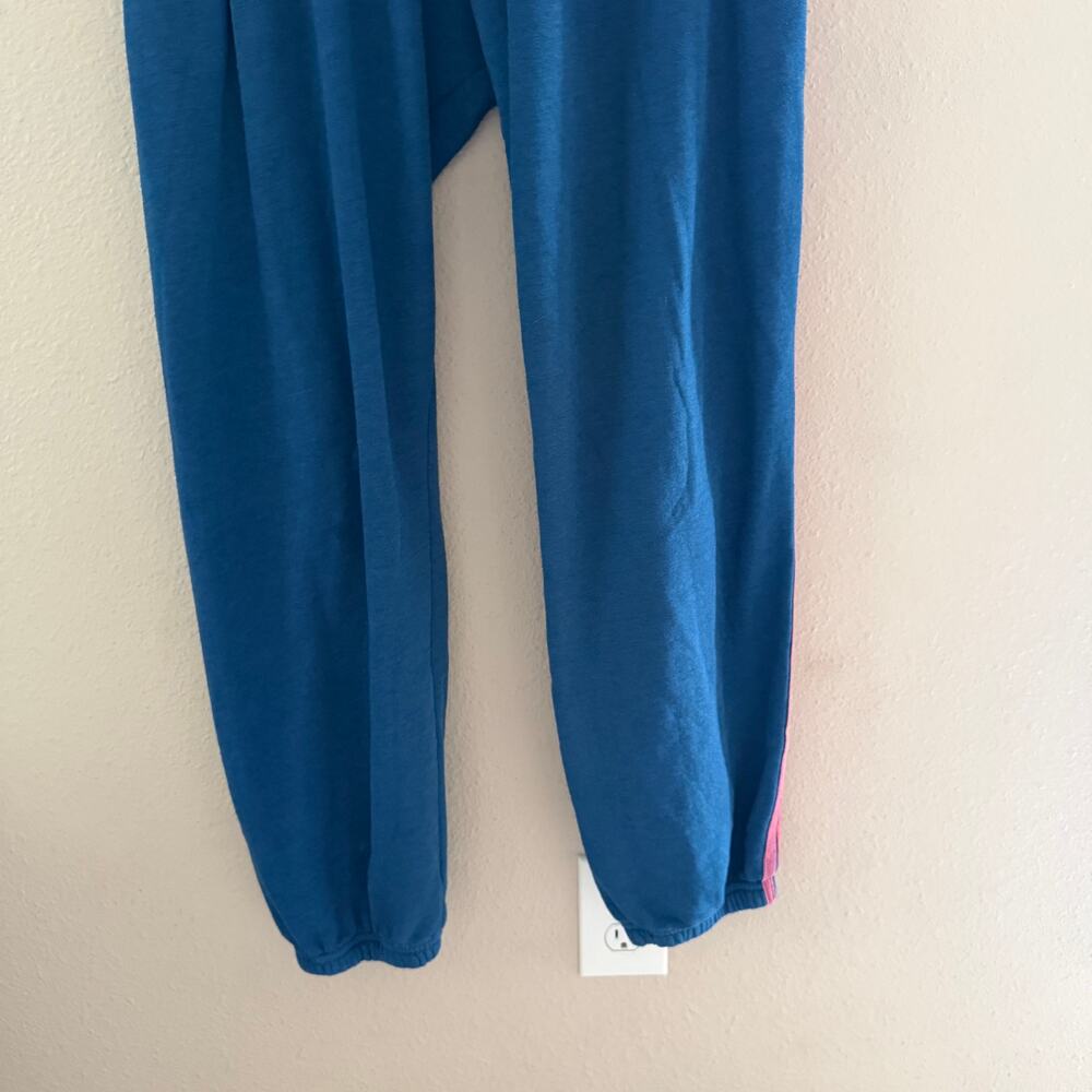 Aviator Nation 5 Stripe Sweatpants in a Cobalt blue colorway - Picture 3 of 9